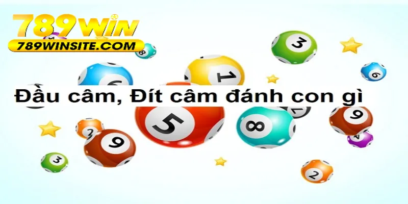 Soi bạch thủ đầu đít câm