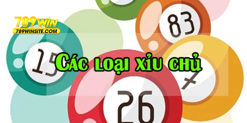 Các hình thức chơi xỉu chủ tại 789WIN