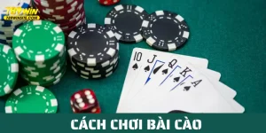 ảnh đại diện cách chơi bài cào