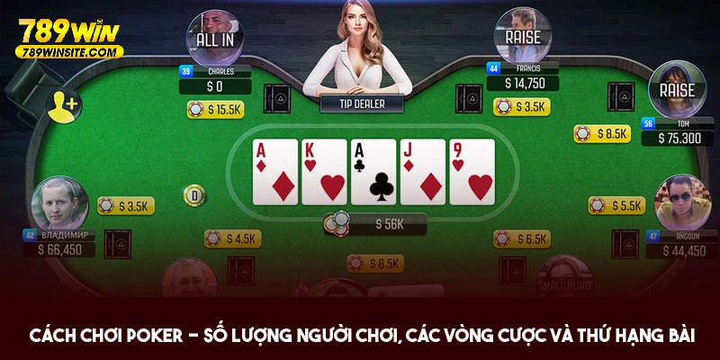 Cách chơi Poker cơ bản người mới không nên bỏ qua 