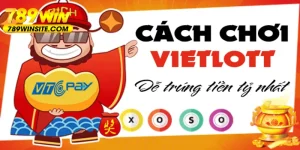 ảnh đại diện cách chơi vietlott