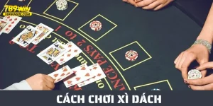 ảnh đại diện cách chơi xì dách