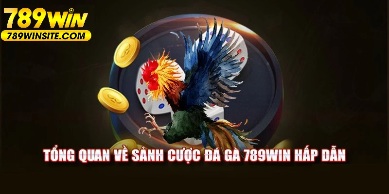 Sơ lược về đá gà 789win mới nhất