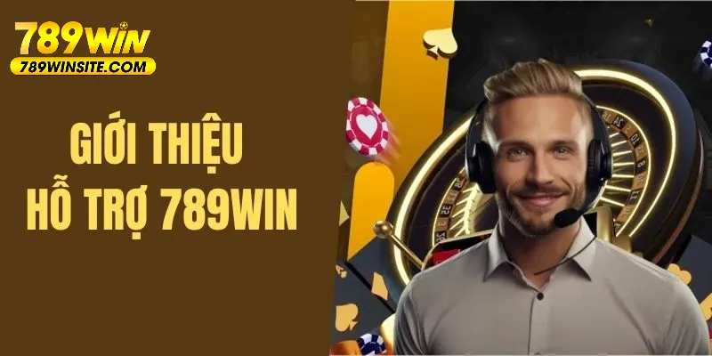 Giới thiệu dịch vụ hỗ trợ tại 789win 