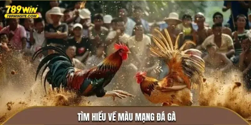 Tìm hiểu màu mạng đá gà